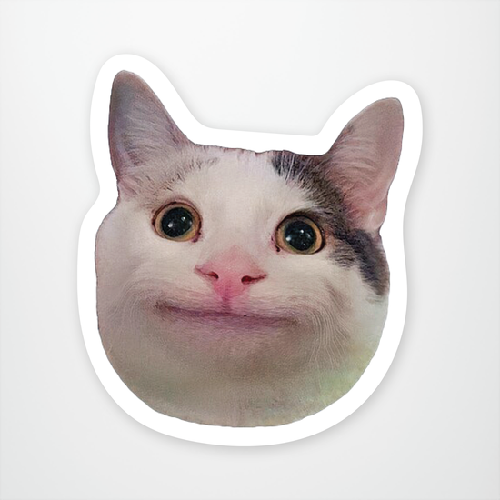 Beluga Smiling Cat