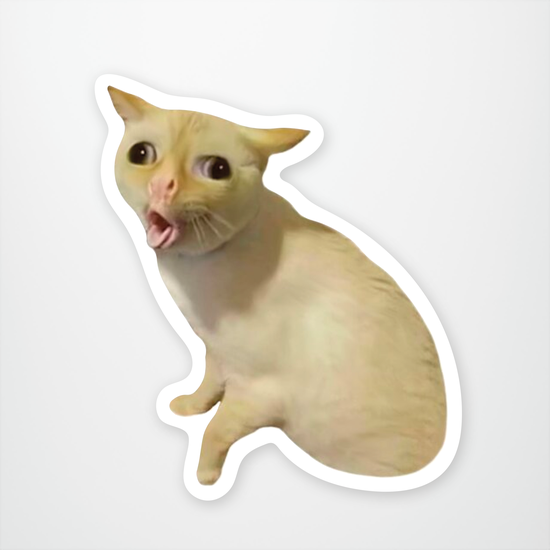 Coughing Cat