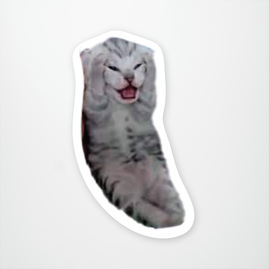Existential Crisis Kitty