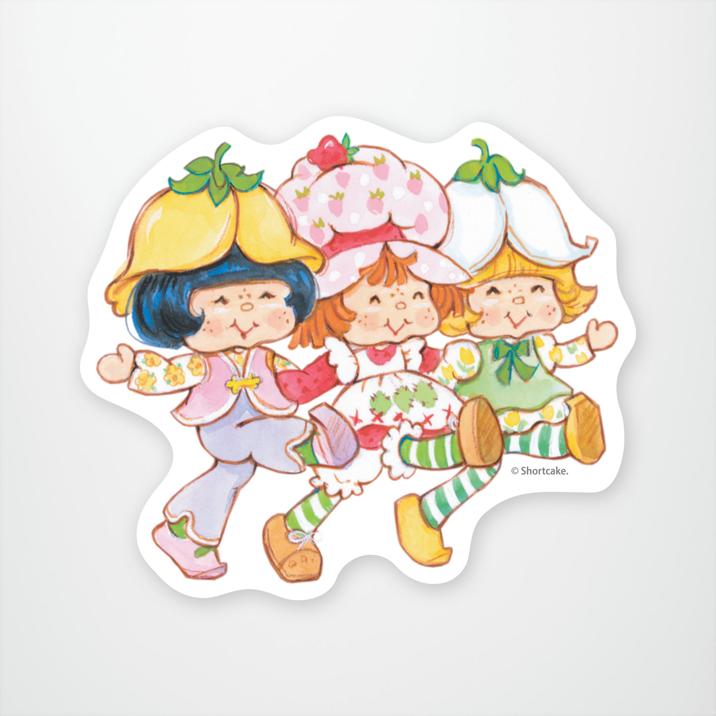 Strawberry Shortcake and Friends