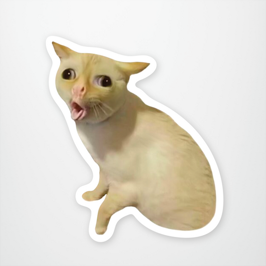 Coughing Cat