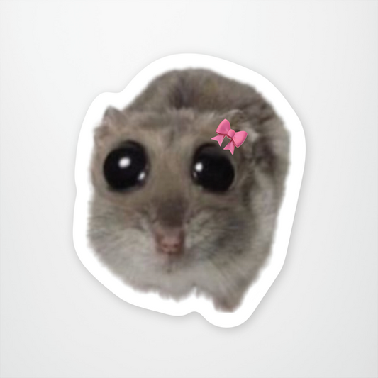Baby Hamster