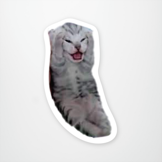 Existential Crisis Kitty