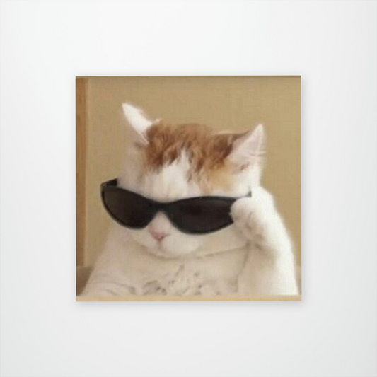 Sunglasses Cat