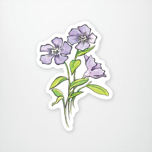 Periwinkle